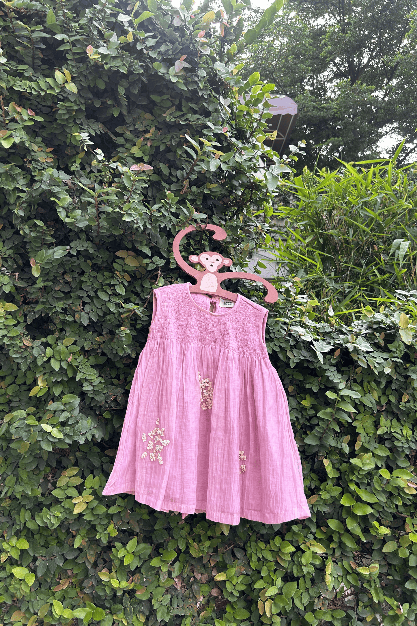 GULABI SHOLA