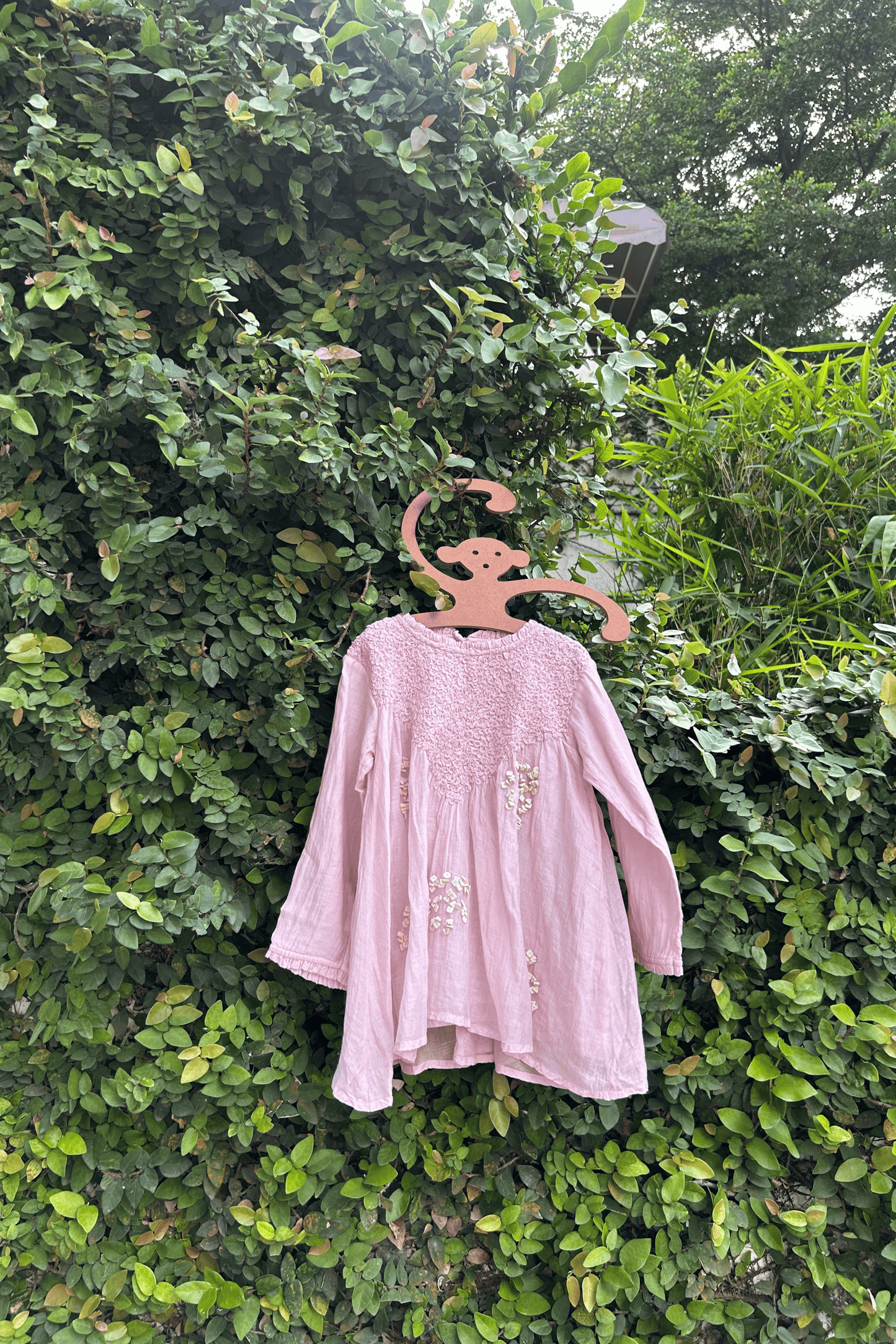 GULABI SHOLA
